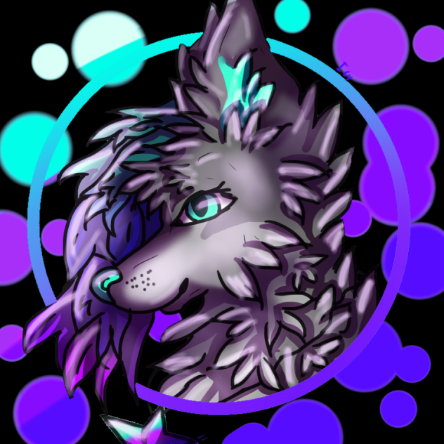 icydawn!