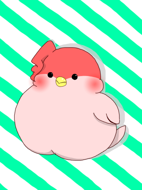 花京院ピヨ明