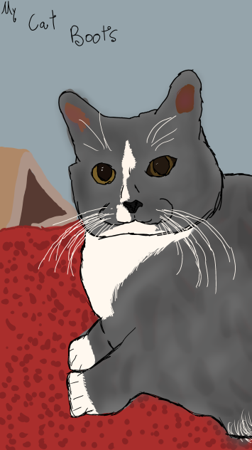 my cat boots