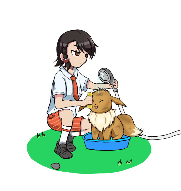 ポケモンウォッシュ