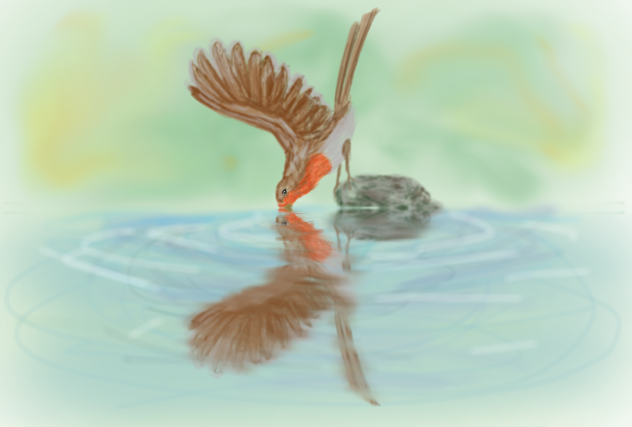 Pajarillo