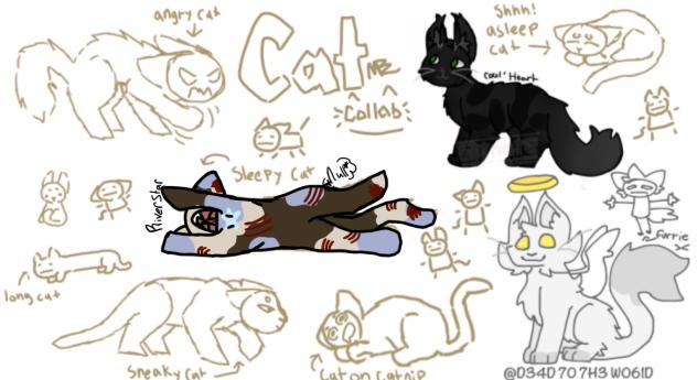 Kitty collab