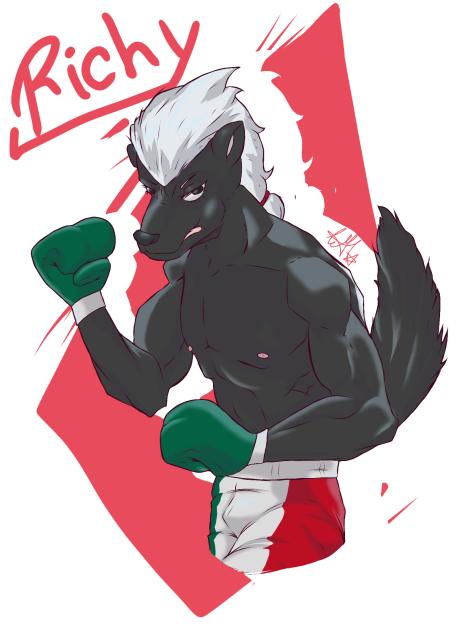 Badger Boxer