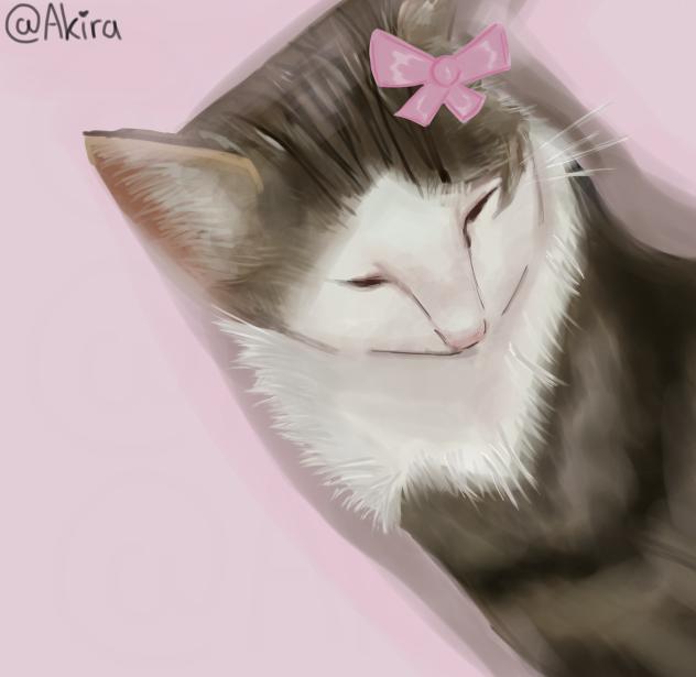 My friends cat mimi 💗