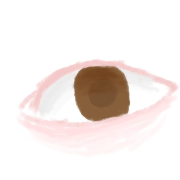 目　(右👁️)