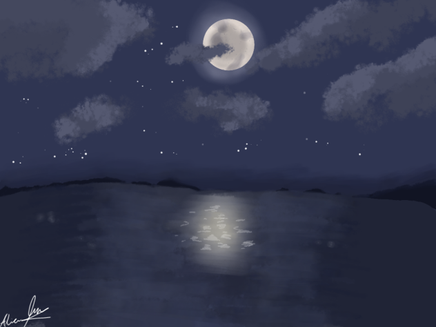 Night at the beach - ibisPaint