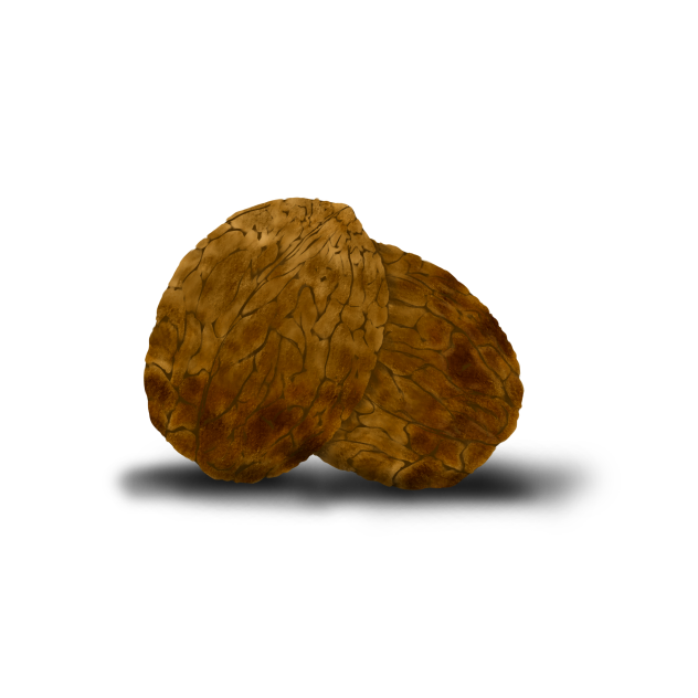 nuts