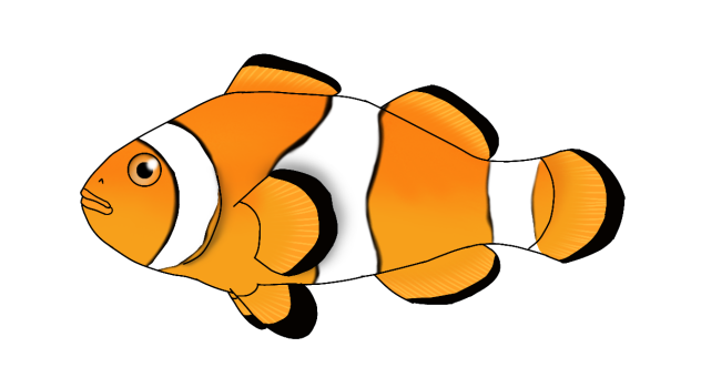 Ocellaris Clownfish