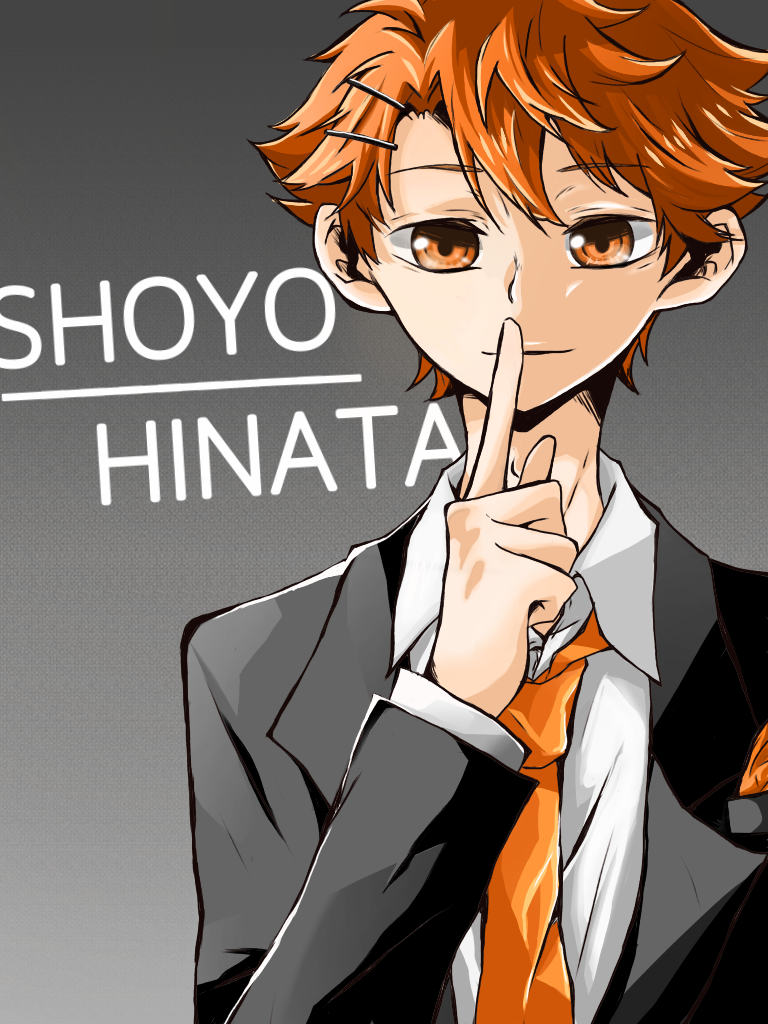 ハイキュー　日向翔陽　ビームス　beams　イラストカード ハイキュー 日向翔陽 ビームス beams イラストカード 【ハイキュー