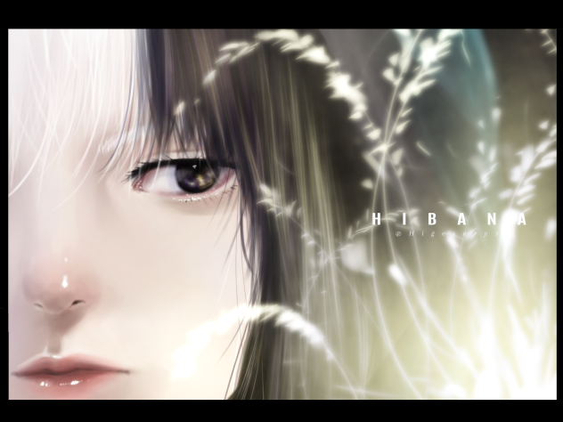 ☆HIBANA☆
