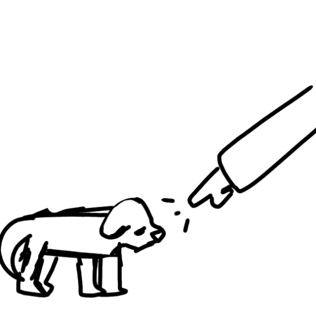 Billy the dog (anination test)