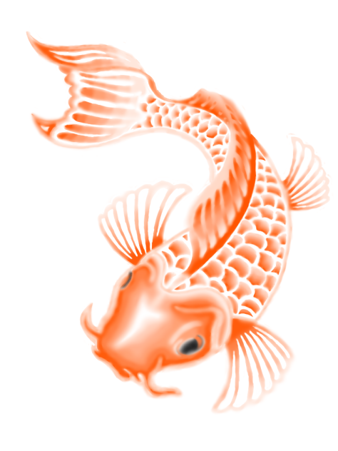 koi fish - ibisPaint