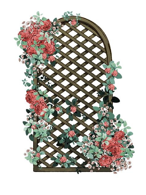 Peony Garden Screen