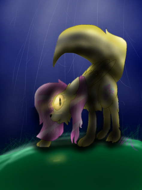A Mysterious Creature