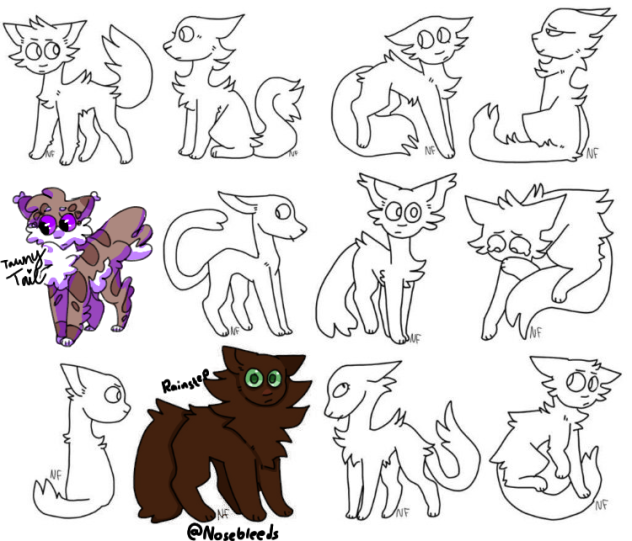 Warrior cat oc collab