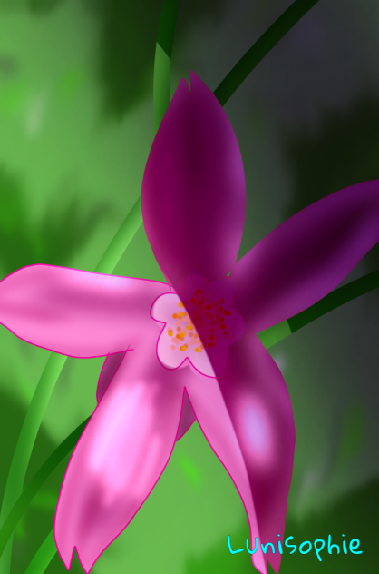 Flower