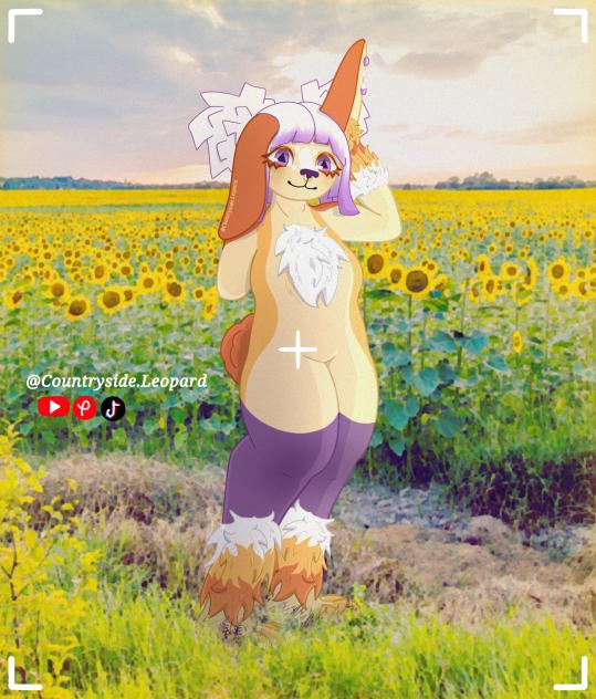 🌻Dawn in a field🌻
