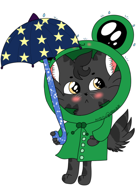 Cat In Froggy Raincoat -