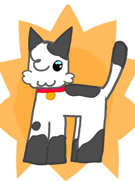 cat