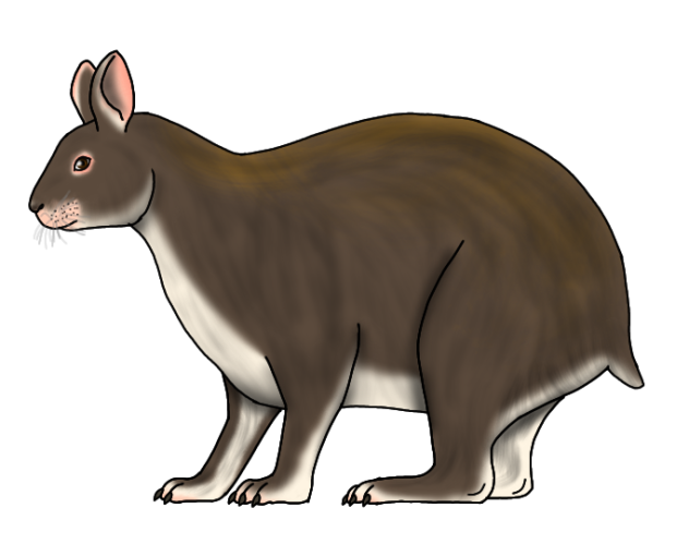 Nuralagus rex render