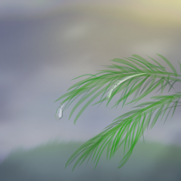 雨上がりの夜明け