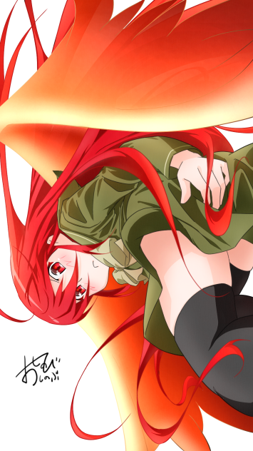 「見るなっ」　シャナ