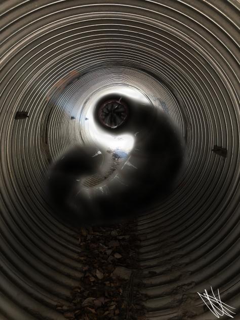 Worm Tunnel