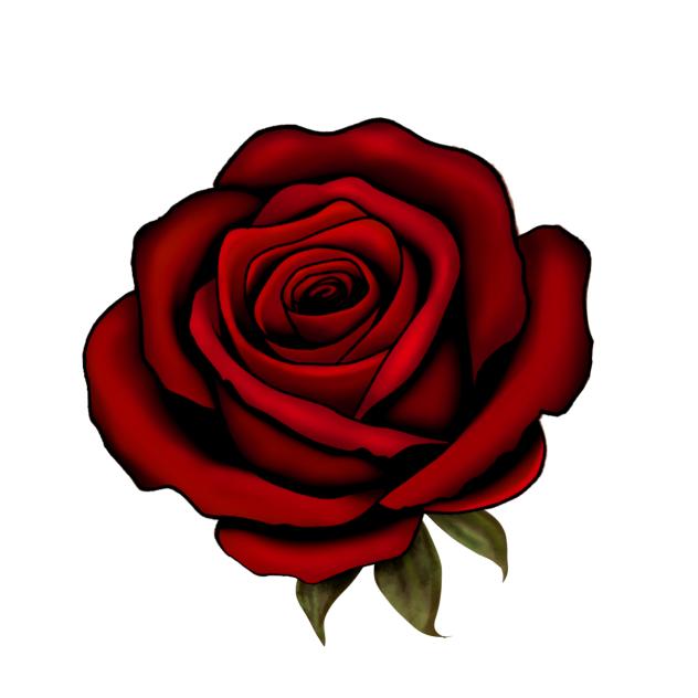 flower ♥︎2