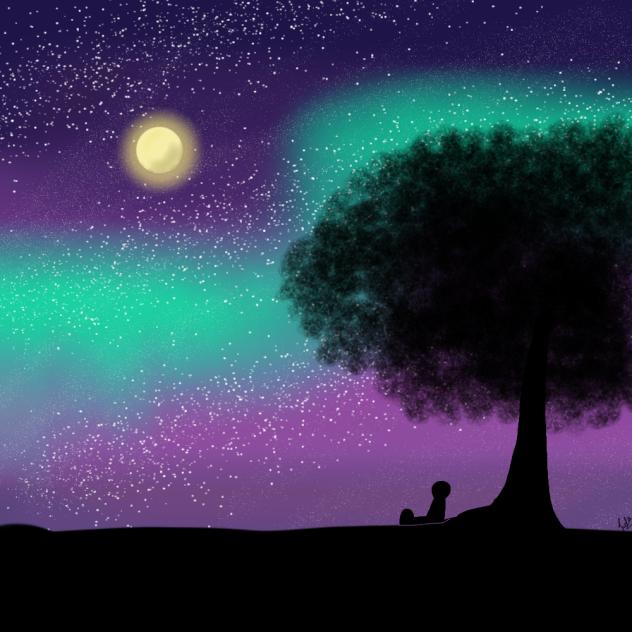 The Northern Lights of the world ✨️💜