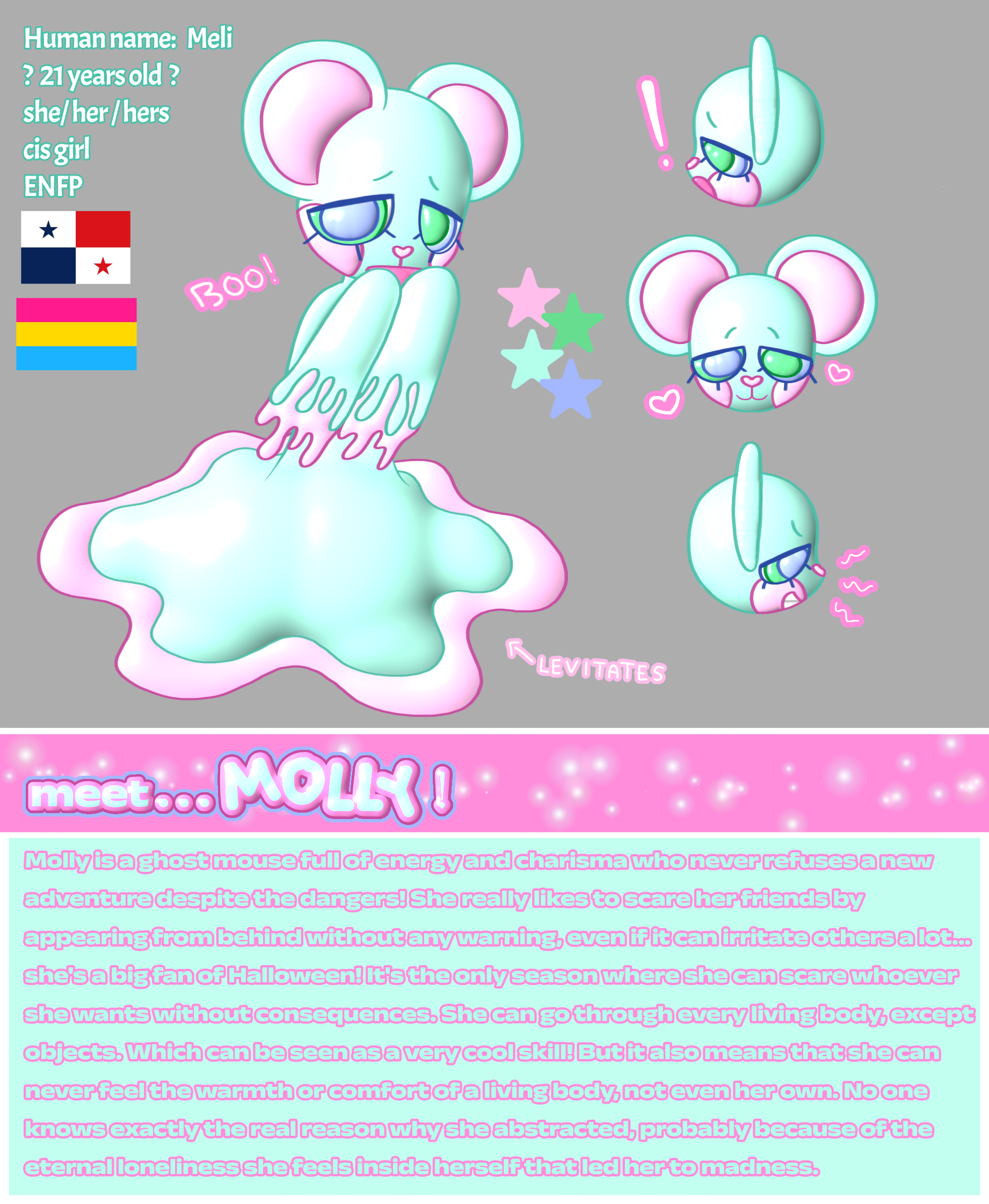 Molly info - ibisPaint