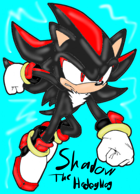 Shadow the hedgehog