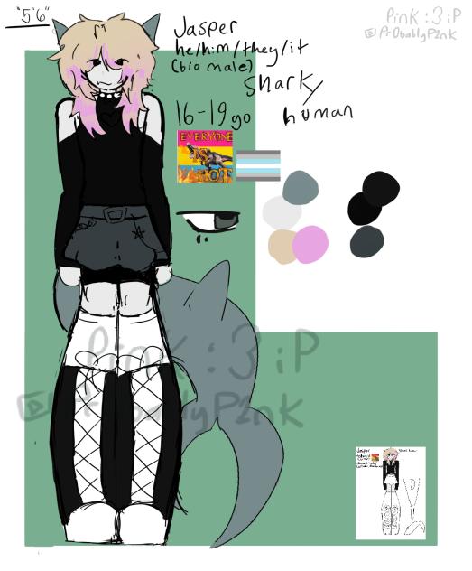 Jasper ref sheet