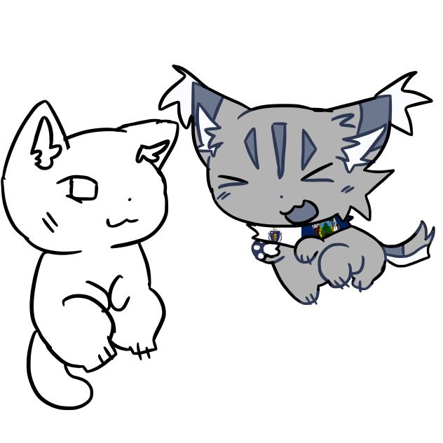 kitty collab