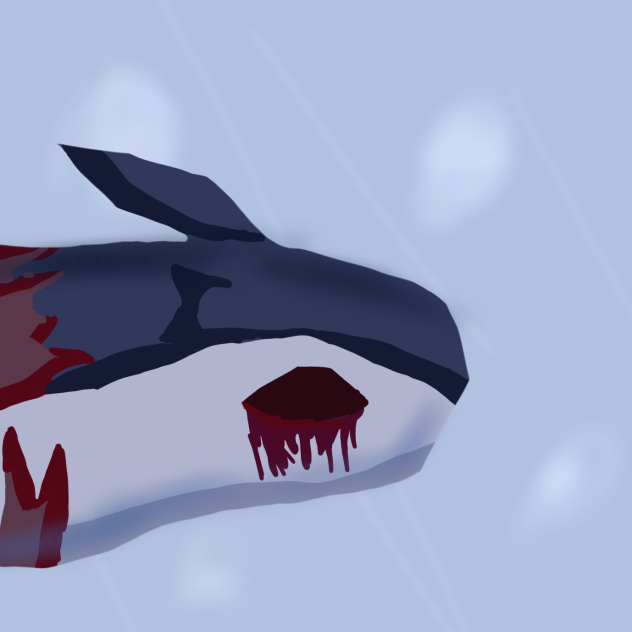 typhlosion MT.Silver