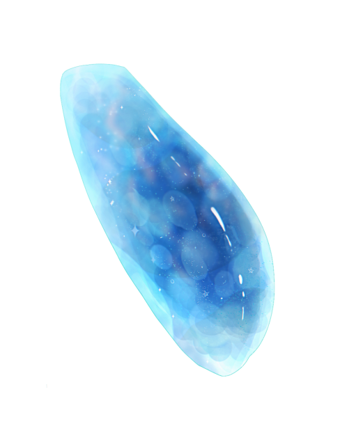 新鮮で美味しいおゲソ