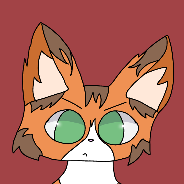 Angry cat