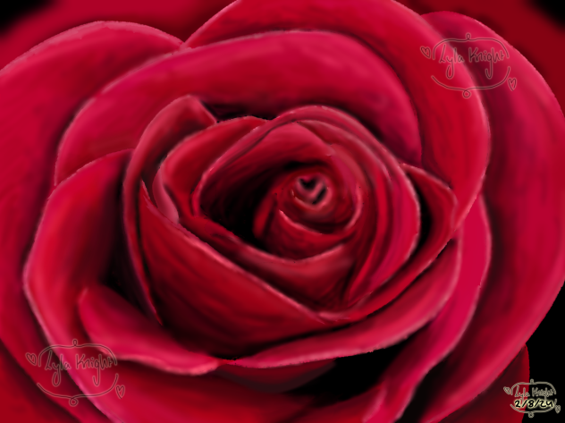 Rose 🌹