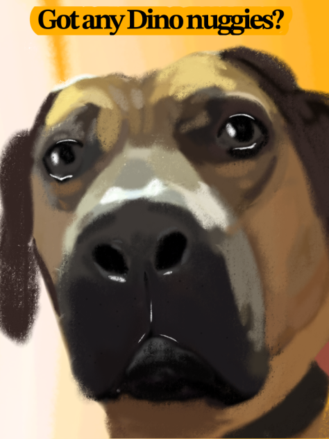 Dog