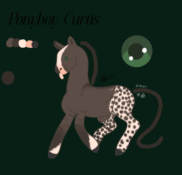~ Ponyboy Curtis ~