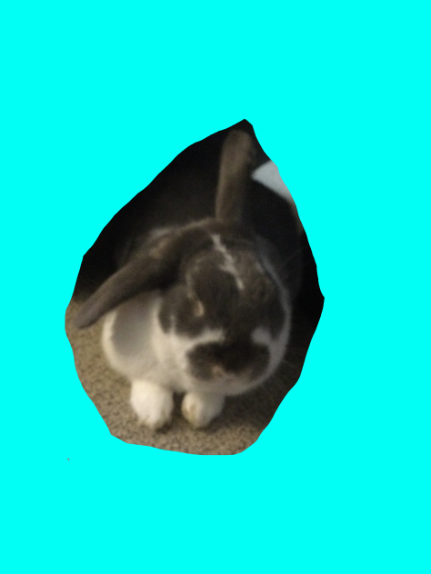 Jamal