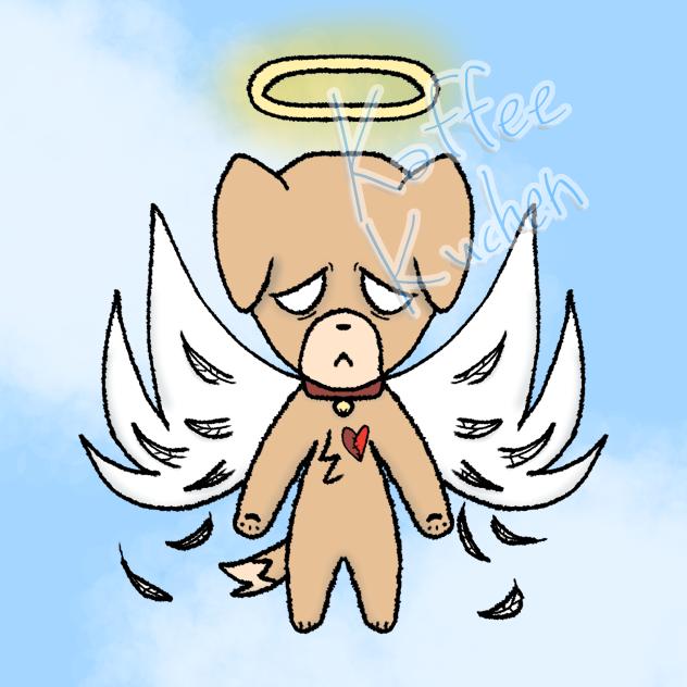 Angel puppy
