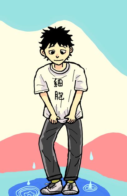 はたらく細胞　一般細胞
