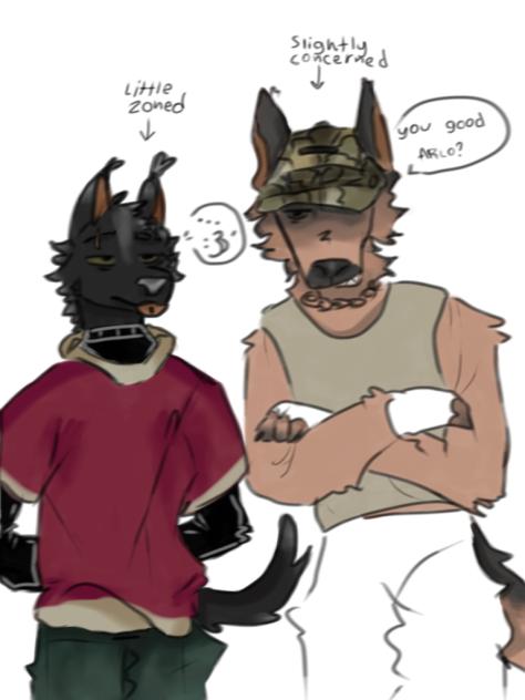 arlo and chief wip