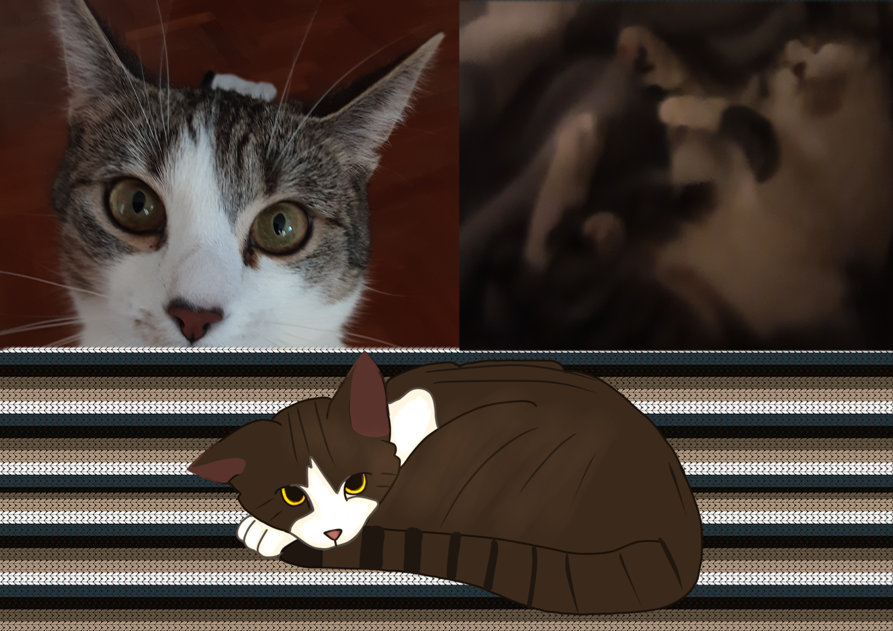 my kitten - ibisPaint