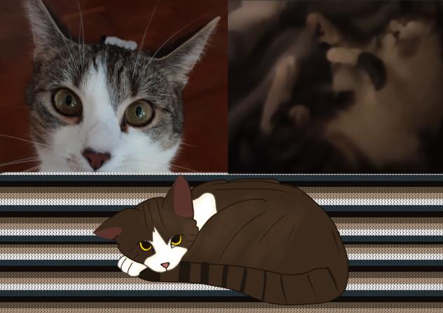 my kitten - ibisPaint