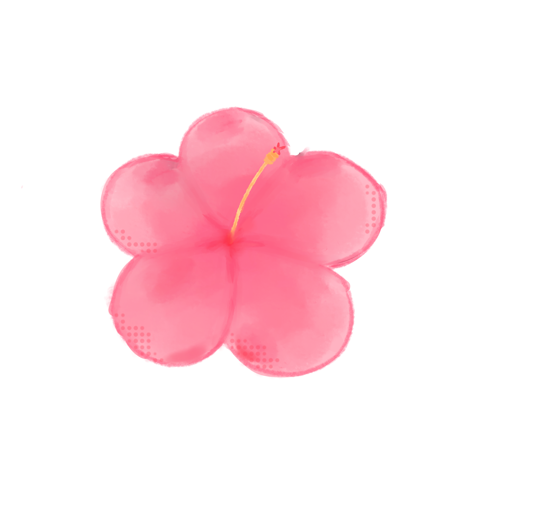 Hibiscus 🌺 - ibisPaint