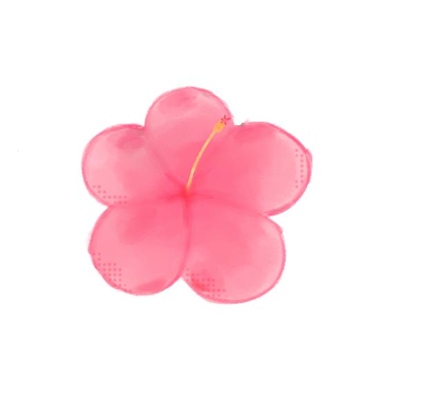Hibiscus 🌺 - ibisPaint