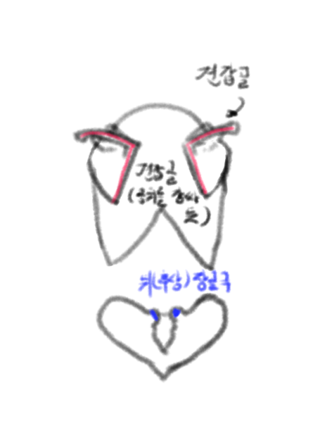 Dynamic Drawing 07.14. 2254