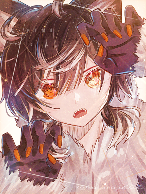 -wolf-