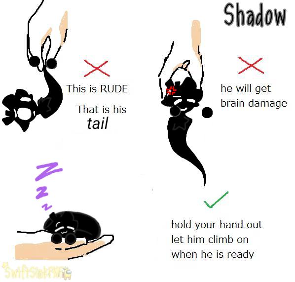 Shadow (My Slendytubbies 3 DLC OC)